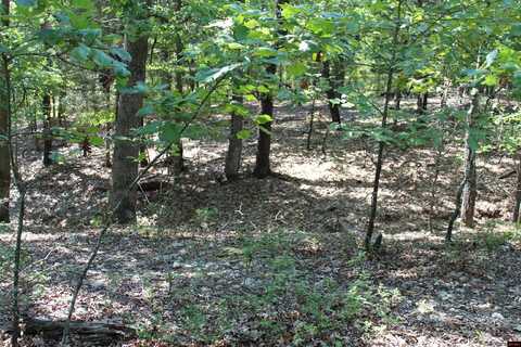 Lot 28 EAGLE RIDGE ROAD, Protem, MO 65733