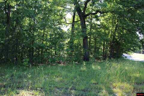 Lot 1 HWY 14 NORTH, Yellville, AR 72687