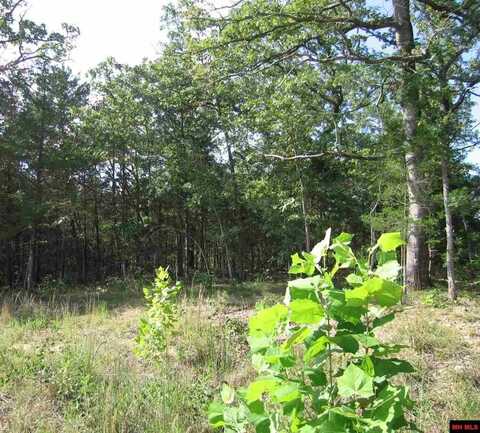 Lot 15 SARGENT PEPPER DRIVE, Flippin, AR 72634