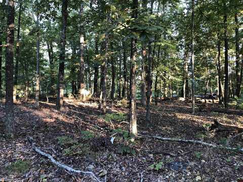 Lot 6, Blk 82 SHORECREST DRIVE, Bull Shoals, AR 72619