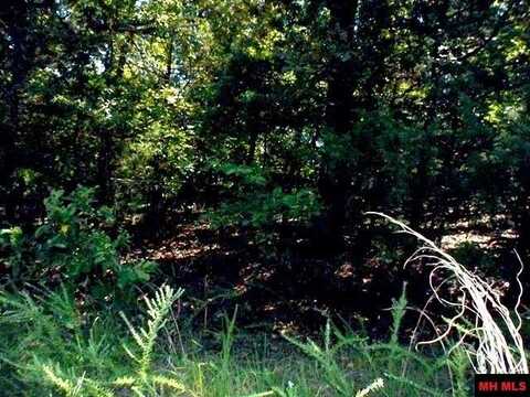 Lot 34 CEDAR LANE, Bull Shoals, AR 72619