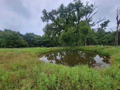 07-0.6-23-000-0 CR 837, Thornfield, MO 65762