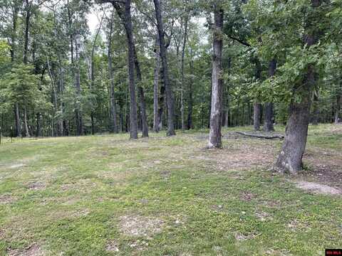 760-19903-000 CARDINAL TERRACE, Bull Shoals, AR 72619