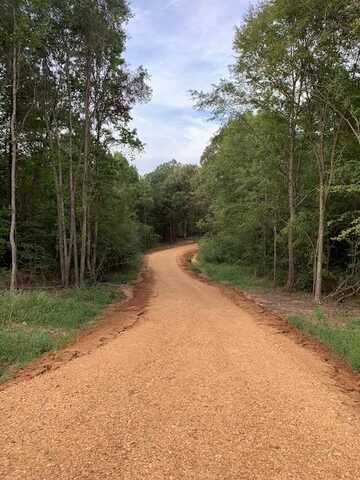 Lot #1 Market St., Water Valley, MS 38965