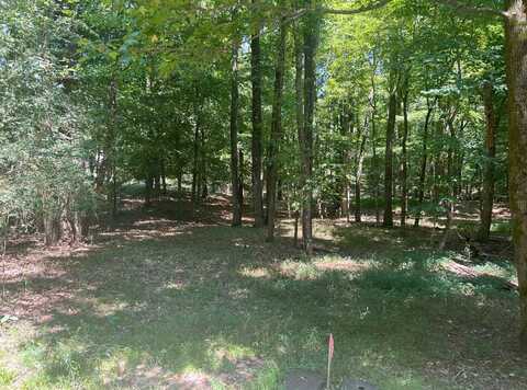 156e Shady Oaks circle, Oxford, MS 38655