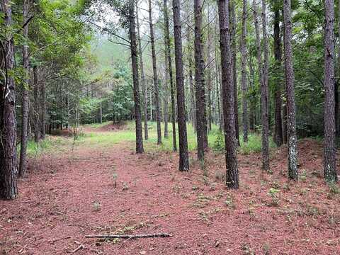 Jordan Hill Road, Charleston, MS 38921