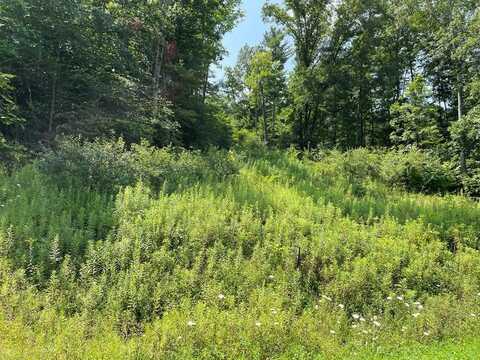 Lot 38 Hemlock Hills Rd, Towanda, PA 18848