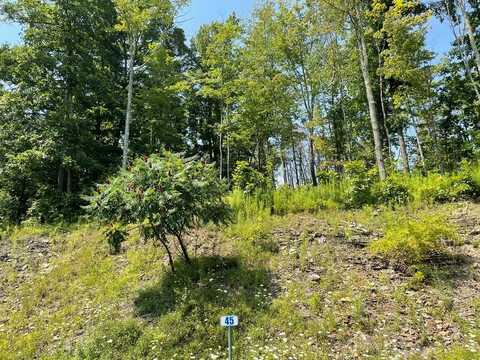 Lot 45 Hemlock Hills Rd, Towanda, PA 18848