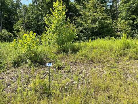 Lot 47 Hemlock Hills Rd, Towanda, PA 18848