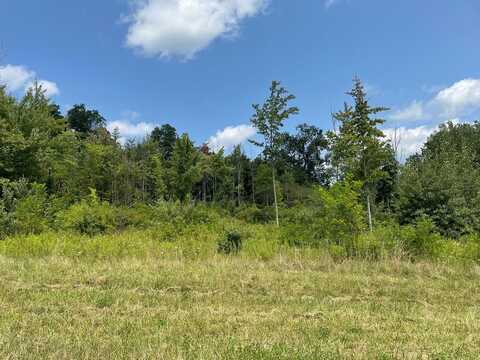 Lot 11 Hemlock Hills Rd, Towanda, PA 18848