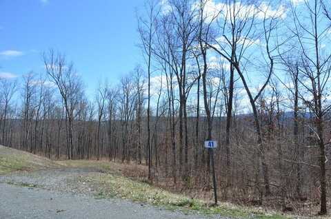 Lot 41 Hemlock Hills Rd, Towanda, PA 18848