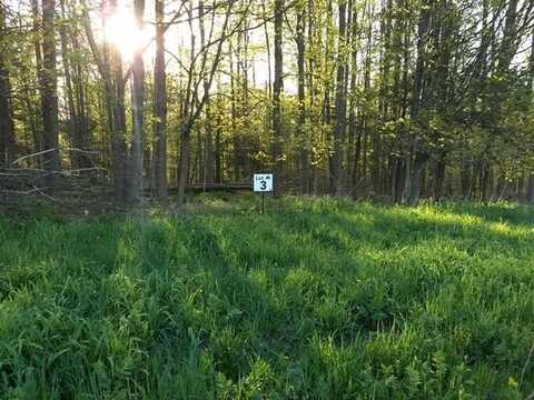 Lot #3 Swede Hill Road, Wellsboro, PA 16901