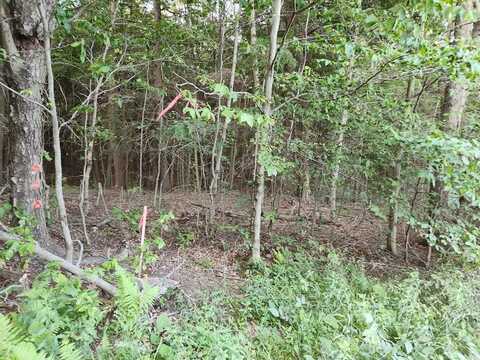 Lot 3 Eagle Rock Road, Dushore, PA 18614