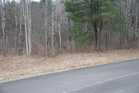 Lot 18 Wilcox Estates, Waverly, NY 14892