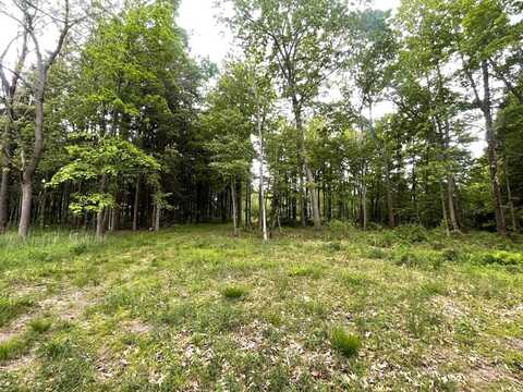 Lot 2 Kerrick Hill Rd, Towanda, PA 18848