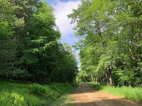 Lot 1 Back rd, Coudersport, PA 16915