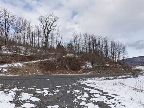 Lot 1 Hemlock Hills Rd, Towanda, PA 18848