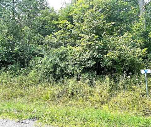 Lot 17 Hemlock Hills Rd, Towanda, PA 18848