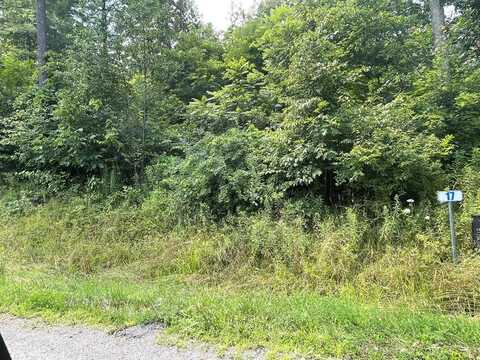 Lot 18 Hemlock Hills Rd, Towanda, PA 18848