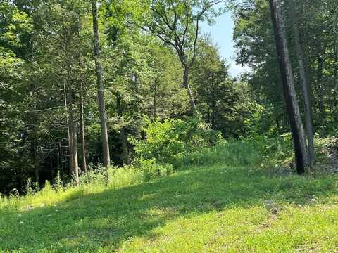 Lot 42 Hemlock Hills Rd, Towanda, PA 18848