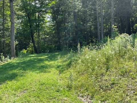 Lot 43 Hemlock Hills Rd, Towanda, PA 18848