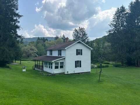 101 Sweden Hill Rd, Ulysses, PA 16948