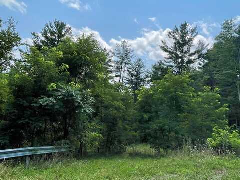 Lot 31 Hemlock Hills Rd, Towanda, PA 18848