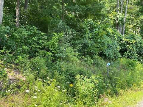 Lot 48 Hemlock Hills Rd, Towanda, PA 18848