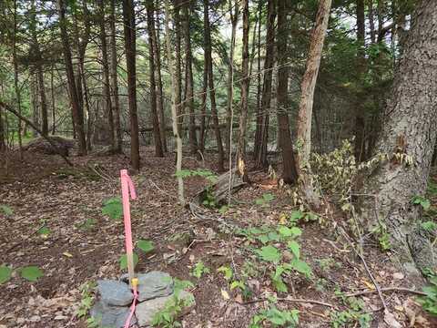 Lot 2 Eagle Rock Road, Dushore, PA 18614