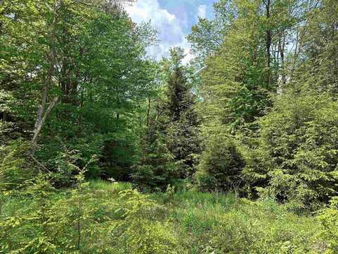 Lot 98 Canal Street, Davis, WV 26260