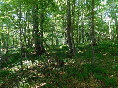 Lot 9 Cherry Wood Lane, Terra Alta, WV 26764