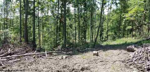 4acre Halleck Road, Morgantown, WV 26508