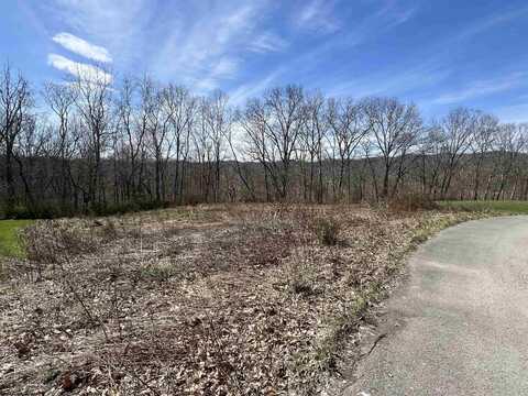 LOT 9 Bosworth Drive, Elkins, WV 26241