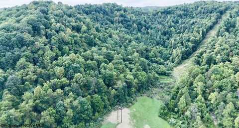 TBD Crabapple Run Road, Mannington, WV 26582