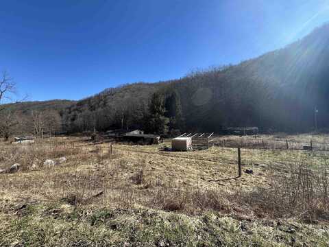 3595 Licking Creek Road, Parsons, WV 26287