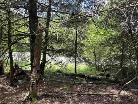 Lot 96 Gondola Court, Davis, WV 26260