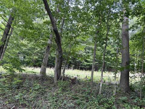 Lot 4 East Run Circle, Four States, WV 26572