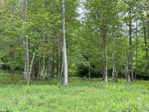 Lot 68 Venice Place, Davis, WV 26260