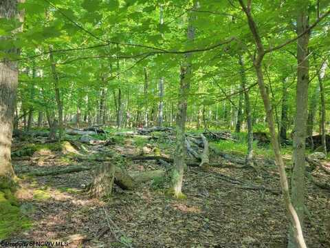 Lot 195 Columbine Circle, Terra Alta, WV 26764