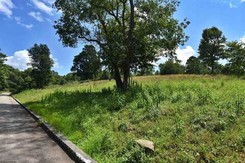 Lot 46 Carlson Drive, Grafton, WV 26354