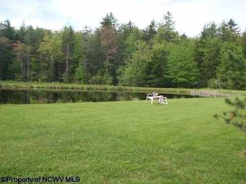 1, 2 & 3 Red Spruce Trail, Davis, WV 26260