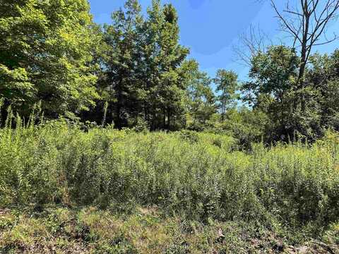 Lot 8 Alpenglow Ridge Drive, Dryfork, WV 26260