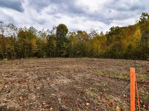 Lot 9 King Drive, Kingwood, WV 26537