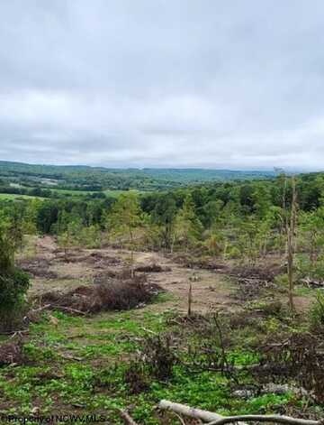 Lot 4 998 Hanlin Road, Bruceton Mills, WV 26525