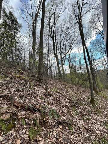 TBD Timmons Road, Independence, WV 26374