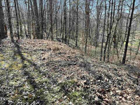 TBD Red Oak Lane, Elkins, WV 26241