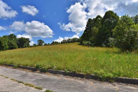 Lot 38 Birch Street, Grafton, WV 26354