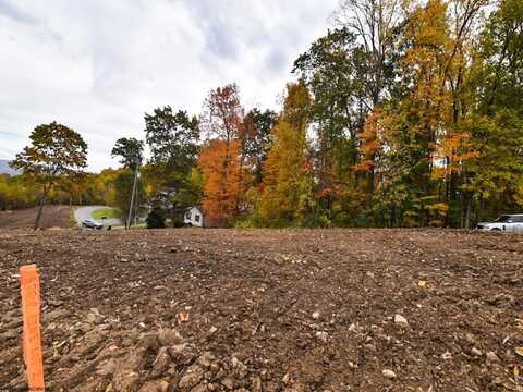 Lot 2 King Drive, Kingwood, WV 26537