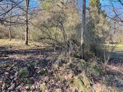 TBD Herring Road, Kingwood, WV 26537