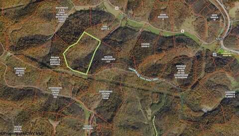 TBD Earl Run (6.0) Road, Metz, WV 26585